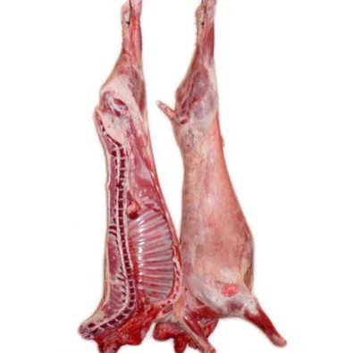 lamb Carcase